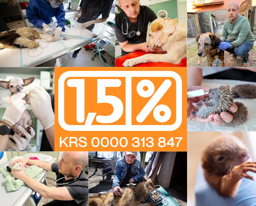 Fundacja ADA – pomoc